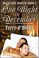 David and Andrew Book 1: One Night in December